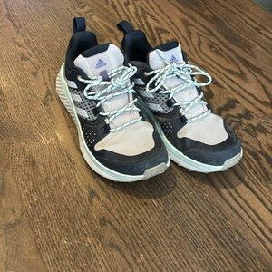 Adidas Terrex hiking shoes